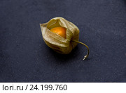Физалис на черном фоне. Стоковое фото, фотограф Ready-made / Фотобанк Лори