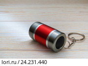 LED Flashlight Keychain. Стоковое фото, фотограф Alexander / Фотобанк Лори