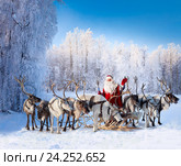 Santa Claus and his reindeer in forest. Стоковое фото, фотограф Владимир Мельников / Фотобанк Лори
