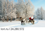 Santa Claus and his reindeer in forest. Стоковое фото, фотограф Владимир Мельников / Фотобанк Лори