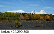 Россия, Дальний Восток, Камчатка. Вулканы Ushkovsky(3943m) Kliuchevskoi(4800m) Kamen(4585m) Стоковое фото, фотограф Геннадий Теплицкий / Фотобанк Лори