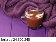 Горячий шоколад и уютный вязаный плед. Стоковое фото, фотограф Дегтярева Виктория / Фотобанк Лори