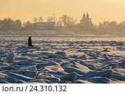 Ледяной путь. Великий Устюг (2016 год). Стоковое фото, фотограф Даниил Зинченко / Фотобанк Лори