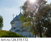 Купола Софийского собора в Вологодском кремле (2016 год). Стоковое фото, фотограф Pukhov K / Фотобанк Лори