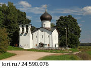 Вид на Ильинскую церковь в Выбутах (Псковская область) (2016 год). Стоковое фото, фотограф Самохвалов Артем / Фотобанк Лори