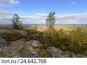 Гора Хийденвуори. Республика Карелия (2016 год). Стоковое фото, фотограф Дмитрий Шишков / Фотобанк Лори