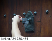 Дверная ручка-гонг (стучалка) в виде мухи. Стоковое фото, фотограф Елена Корнеева / Фотобанк Лори