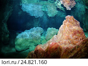 Пикноклин (смешивание пресной и соленой воды) в подводной пещере, Средиземное море, Каш, Турция. Стоковое фото, фотограф Некрасов Андрей / Фотобанк Лори