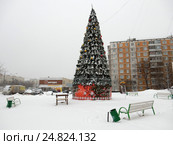 Новогодняя елочка в сквере на Щелковском шоссе в Гольянове в Москве (2017 год). Стоковое фото, фотограф lana1501 / Фотобанк Лори