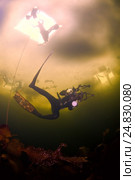 Ice free diving in Arctic, Russia, Russian north, north, Kareliya, White sea (2009 год). Редакционное фото, фотограф Некрасов Андрей / Фотобанк Лори