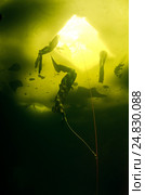 Ice diving, free diving, (2009 год). Редакционное фото, фотограф Некрасов Андрей / Фотобанк Лори