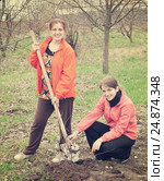 women resetting bush sprouts. Стоковое фото, фотограф Яков Филимонов / Фотобанк Лори