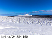 Предгорье горы Ослянка. Северный Урал. Россия. Стоковое фото, фотограф Евгений Ткачёв / Фотобанк Лори