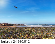 Над вечным покоем - древнее мусульманское кладбище в Салиме. Стоковое фото, фотограф oleg savichev / Фотобанк Лори