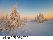 Зимний пейзаж. Лес с солнцем на закате и тенями от деревьев. Winter landscape with forest, cliffs and sunset. Стоковое фото, фотограф Оксана Владимировна Грачева / Фотобанк Лори