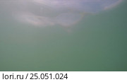 Surfacing from the sea. Стоковое видео, видеограф Сергей Елизаров / Фотобанк Лори