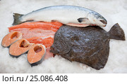 Fresh fish on ice. Raw whole salmon, slices of red fish and whole flatfish (brill) on ice. Стоковое фото, фотограф Алексей Забусик / Фотобанк Лори