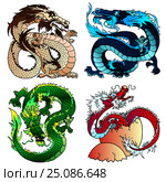 Set four strong Asian colorfull dragon. Стоковая иллюстрация, иллюстратор Анастасия Некрасова / Фотобанк Лори