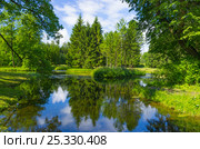 Летний пейзаж у озера. Стоковое фото, фотограф Megapixx / Фотобанк Лори