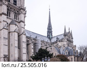 Notre Dame Cathedral on a winter day (2017 год). Стоковое фото, фотограф Александр Перепелицын / Фотобанк Лори