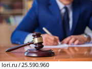 Handsome judge with gavel sitting in courtroom. Стоковое фото, фотограф Elnur / Фотобанк Лори