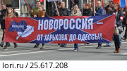 "Новороссия - от Харькова до Одессы!". Колонна сторонников раздела Украины на демонстрации. Петербург (2015 год). Редакционное фото, фотограф Александр Алексеев / Фотобанк Лори