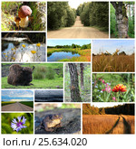 Collage of nature photos. Стоковое фото, фотограф Дмитрий Варава / Фотобанк Лори