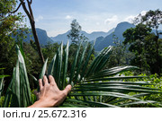 Beautiful tropical landscape, and thus hand plant. Стоковое фото, фотограф Сергей Елизаров / Фотобанк Лори