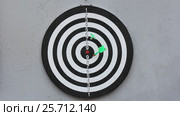 Green darts are stuck in the target. Стоковое видео, видеограф Андрей С / Фотобанк Лори
