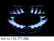 Включенная газовая конфорка. Стоковое фото, фотограф Евгений Кашпирев / Фотобанк Лори