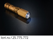 Golden flashlight on dark surface. Стоковое фото, фотограф Alexander / Фотобанк Лори