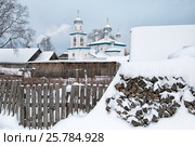 Городской вид и Церковь Рождества Пресвятой Богородицы. Каргополь (2009 год). Стоковое фото, фотограф Румянцева Наталия / Фотобанк Лори