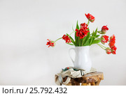 Tulips bouquet in white vase on wooden rustic chair. Стоковое фото, фотограф Дарья Петренко / Фотобанк Лори