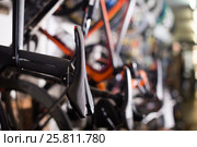 Bicycle saddles in shop. Стоковое фото, фотограф Яков Филимонов / Фотобанк Лори