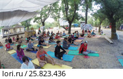 Group hatha yoga on ethno esoteric festival (2016 год). Редакционное видео, видеограф Потийко Сергей / Фотобанк Лори