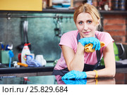 Cleaning service. Woman cleaner portrait. Стоковое фото, фотограф Дмитрий Калиновский / Фотобанк Лори