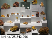 Wulfenite display in National Museum of Natural History,  Washington. Стоковое фото, фотограф Losevsky Pavel / Фотобанк Лори