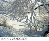 Зимняя зарисовка (2007 год). Стоковое фото, фотограф Анатолий Заводсков / Фотобанк Лори