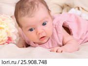 Sweet little baby quietly lying on the bed with a white blanket and looks with curiosity. Стоковое фото, фотограф Светлана Додух / Фотобанк Лори