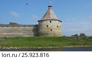 Tower of Fortress Oreshek on island (2017 год). Стоковое видео, видеограф Михаил Коханчиков / Фотобанк Лори