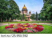 St. Isaac's Cathedral in St. Petersburg on a summer evening and brightly-colored flowers in a flowerbed (2016 год). Стоковое фото, фотограф Baturina Yuliya / Фотобанк Лори