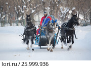 January 20 - 2013, Russia Troyka -three horses racing - winter President Cup of Russia in Moscow. Редакционное фото, фотограф Александр Новиков / Фотобанк Лори