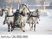 January 20 - 2013, Russia Troyka -three horses racing - winter President Cup of Russia in Moscow. Редакционное фото, фотограф Александр Новиков / Фотобанк Лори