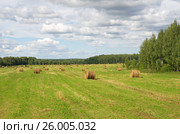 Летний сельский пейзаж с рулонами соломы в поле. Стоковое фото, фотограф Елена Коромыслова / Фотобанк Лори