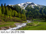 Река Ауадхара, Абхазия. Стоковое фото, фотограф Студенников Иван / Фотобанк Лори