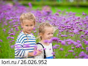 Little adorable girls walking outdoors in flowers field. Стоковое фото, фотограф Дмитрий Травников / Фотобанк Лори