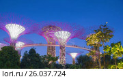 Day to night rotation  timelapse from Gardens by the bay in Singapore. Редакционное видео, видеограф Кирилл Трифонов / Фотобанк Лори