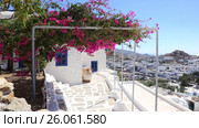 Wind playing with flower shrub on a terrace of traditional white house, Ios island, Greece. Стоковое видео, видеограф Matej Kastelic / Фотобанк Лори