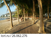 Morning tourist embankment with palm trees along beach at Dadonghai Bay on Hainan Island, China. Стоковое фото, фотограф Юлия Машкова / Фотобанк Лори