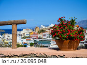 Flowers on the beach with sea views (2014 год). Стоковое фото, фотограф Сергей Ляшенко / Фотобанк Лори